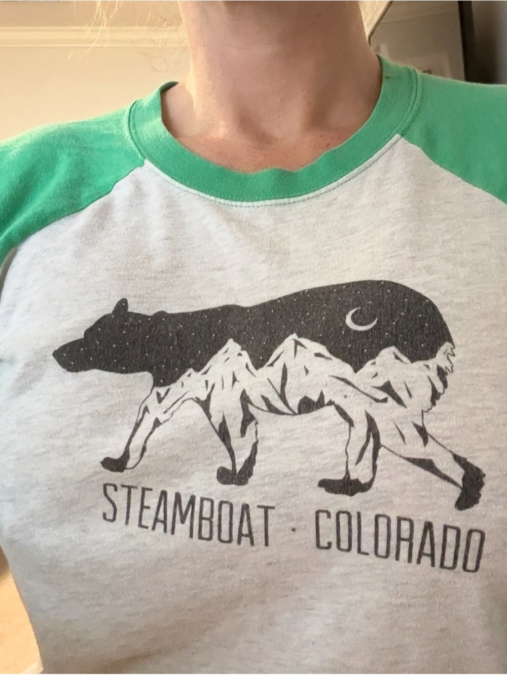 Steamboat Colorado Raglan Long Sleeve Tee in Green & Heather Gray